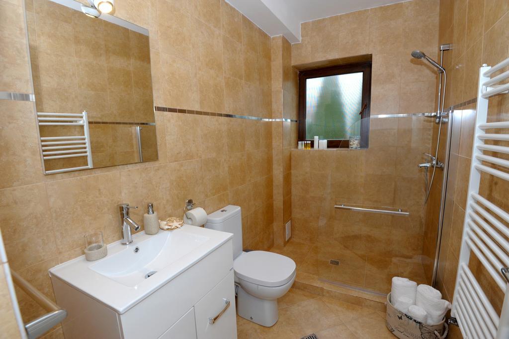Yael Luxury Apartments 1 Buşteni Dış mekan fotoğraf